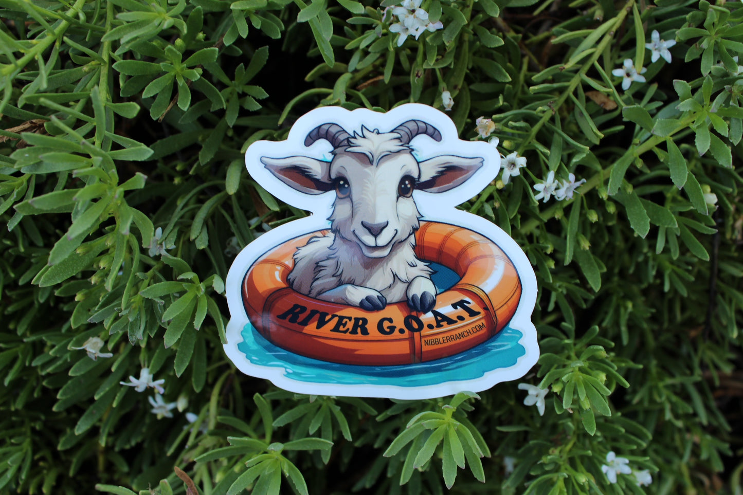 Goat in a Float Sticker